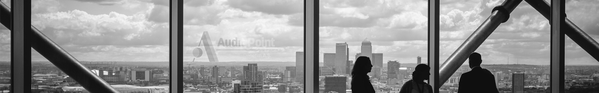 Audit Point Bağımsız Denetim Şirketi-Banner